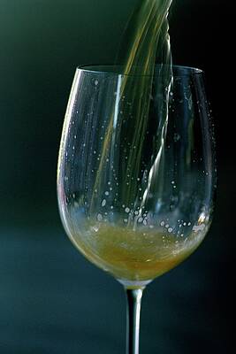 Wine Glass Wall Art featuring the photograph A Glass Of Beer #4 by Romulo Yanes