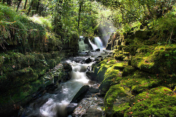 Fall Wall Art featuring the photograph Clare Glens #5 by Mark Callanan