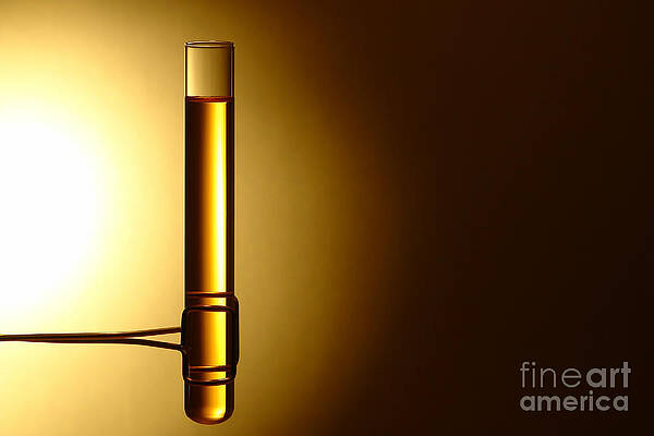 Wall Art featuring the photograph Laboratory Test Tube In Science Research Lab #4 by Science Research Lab