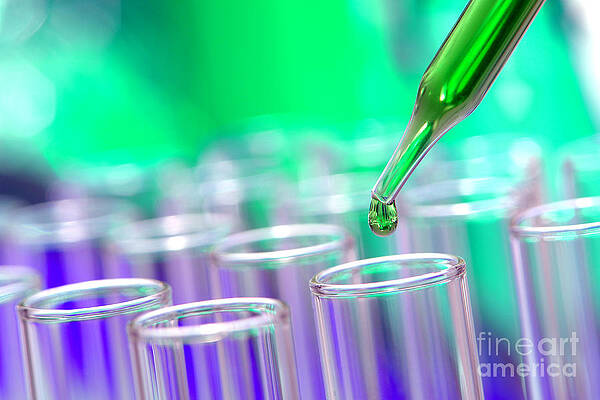 Wall Art featuring the photograph Laboratory Test Tubes In Science Research Lab #4 by Science Research Lab