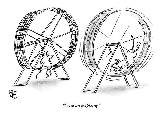 Humorous Mice on Exercise Wheels Wall Art