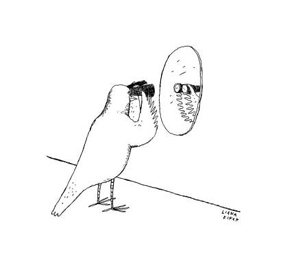 Bird Using Binoculars at Mirror Drawing