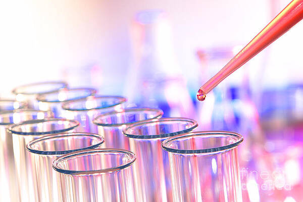 Wall Art featuring the photograph Laboratory Test Tubes In Science Research Lab #40 by Science Research Lab