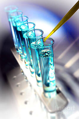 Laboratory Experiment in Science Research Lab  by Science Research Lab