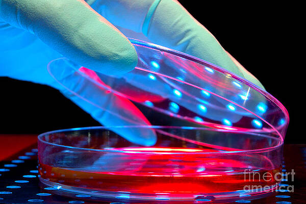 Laboratory Equipment in Science Research Lab by Science Research Lab