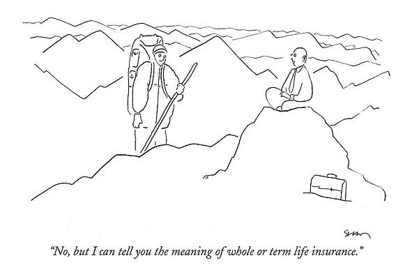Mountain Monk Life Insurance Humor Drawing