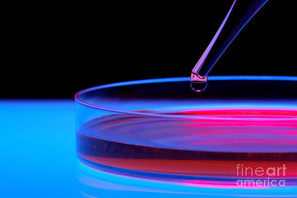 Wall Art featuring the photograph Laboratory Experiment In Science Research Lab #45 by Science Research Lab