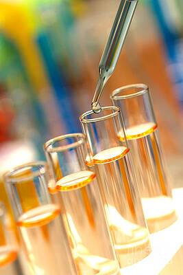 Wall Art featuring the photograph Scientific Experiment In Science Research Lab #5 by Science Research Lab