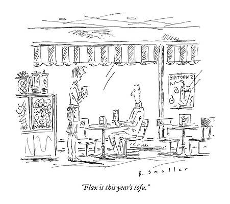 Organic Wall Art featuring the drawing Flax Is This Year's Tofu by Barbara Smaller