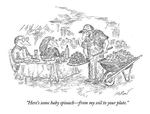 Organic Wall Art featuring the drawing Here's Some Baby Spinach - From My Soil by Edward Koren