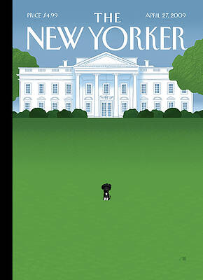 White House and Lone Dog Wall Art