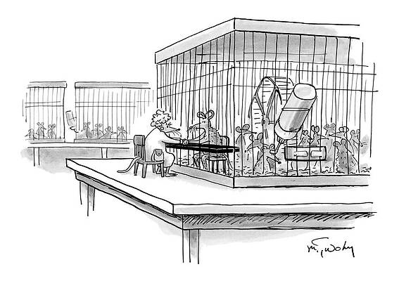 Lab Wall Art featuring the drawing New Yorker October 30th, 2006 by Mike Twohy