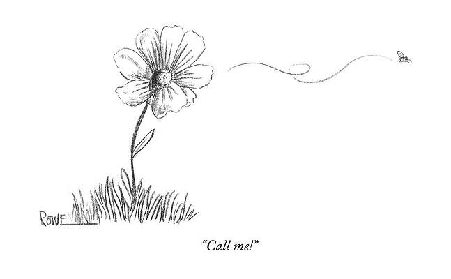 Whimsical Flower Sketch Wall Art