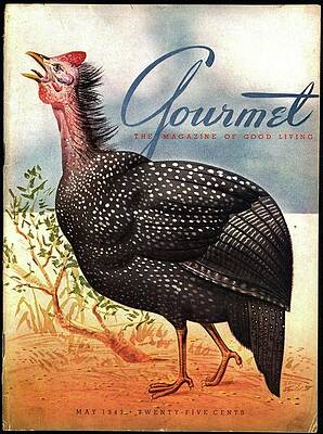 Nineteenth Century Wall Art featuring the photograph A Bellowing Turkey by Henry Stahlhut