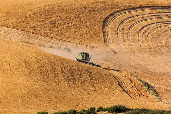 Washington Photograph - A Big Job Ahead by Mary Jo Allen