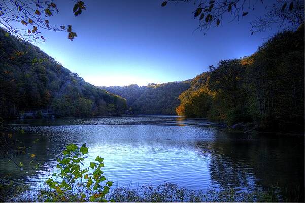 Green Wall Art featuring the photograph A Blue Lake In The Woods by Jonny D