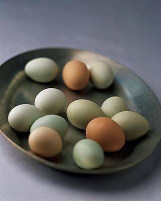 Colorful Eggs in Steel Dish Photograph