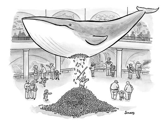 Whale Money Dispenser Wall Art