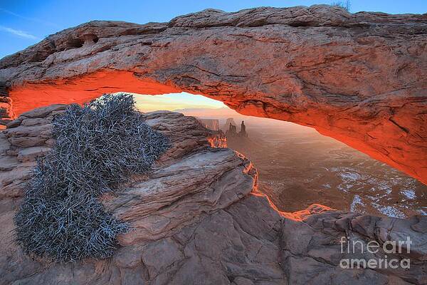 Wall Art featuring the photograph A Brush With Dawn by Adam Jewell