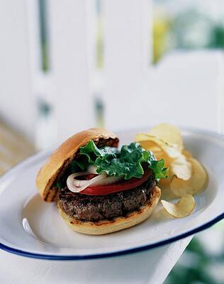 Juicy Burger and Crispy Chips Wall Art