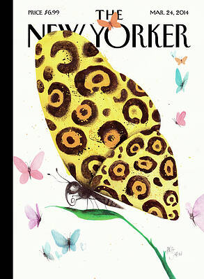 Butterfly with Colorful Wings Painting