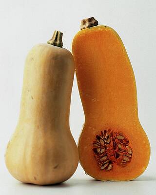 Orange Wall Art featuring the photograph A Butternut Squash by Romulo Yanes