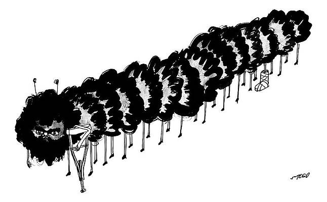 Curious Furry Caterpillar Wall Art