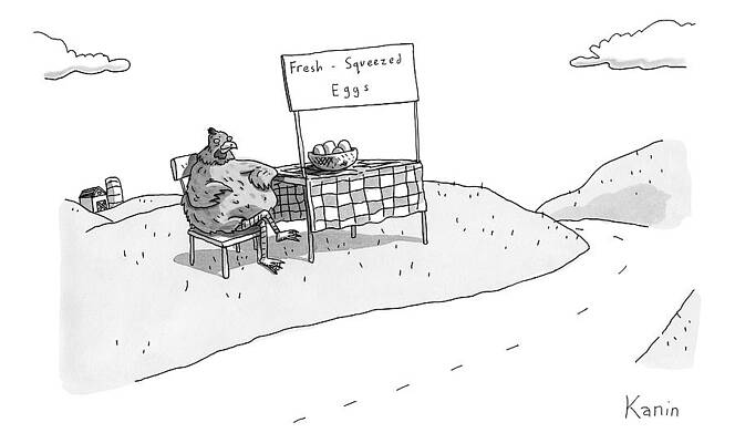 Chicken Wall Art featuring the drawing A Chicken Sits Next To A Roadside Stand by Zachary Kanin