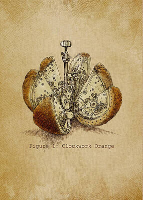 Mechanical Orange Slices Wall Art
