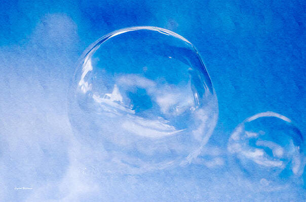 Wall Art featuring the photograph A Cold Winter Bubble by Crystal Wightman