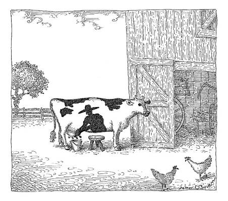 Cow Wall Art featuring the drawing A Cow Has A Spot That Looks Like A Farmer by John O'Brien