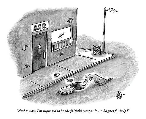 Dog Contemplates Street Rescue Wall Art