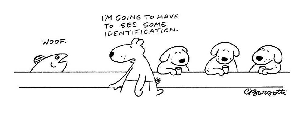 Talking Fish and Curious Dogs Cartoon Wall Art