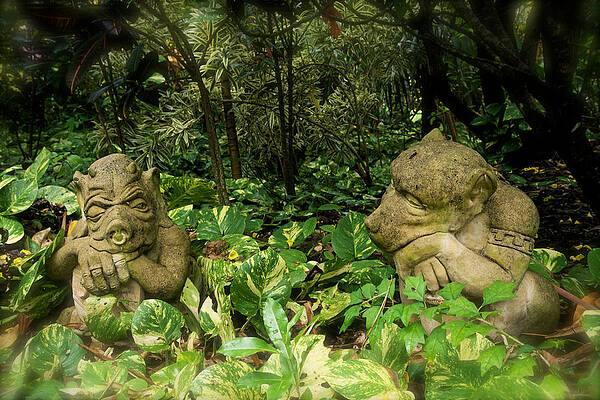 Mary Lee Photograph - The Chat by Mary Lee Dereske