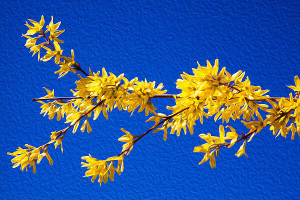 Wall Art featuring the painting A Golden Afternoon by Omaste Witkowski