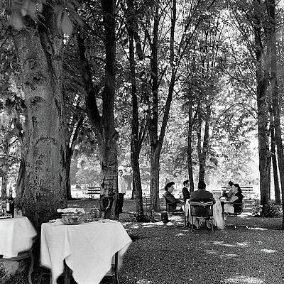 Group Of People Photograph - A Group Of People Eating Lunch Under Trees by Luis Lemus