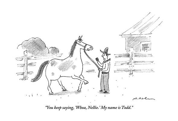 Name Wall Art featuring the drawing A Horse Speaks To A Cowboy Trying To Calm by Michael Maslin