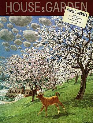 Rural Scene Photograph - A House And Garden Cover Of A Calf by Pierre Brissaud