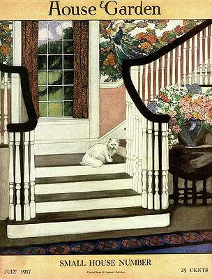 Staircase with Cat and Flowers Photograph
