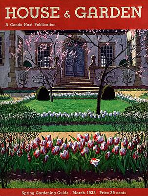 Charming Spring Garden Scene Photograph