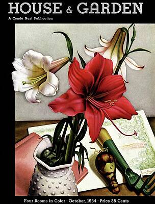 Fork Wall Art featuring the photograph A House And Garden Cover Of Lilies by Edna Reindel