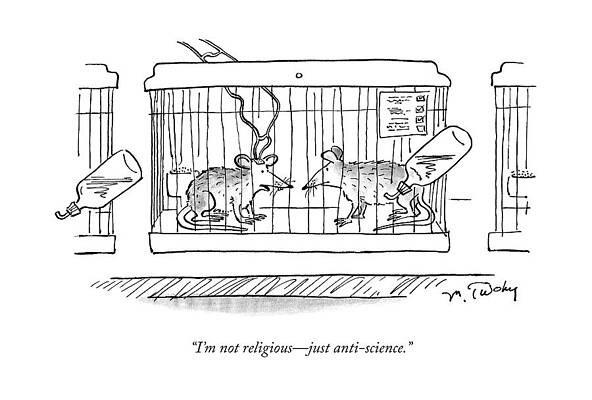 Mice Discussing Religion and Science Wall Art