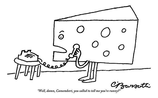 Wall Art featuring the drawing A Large Piece Of Swiss Cheese Talks by Charles Barsotti