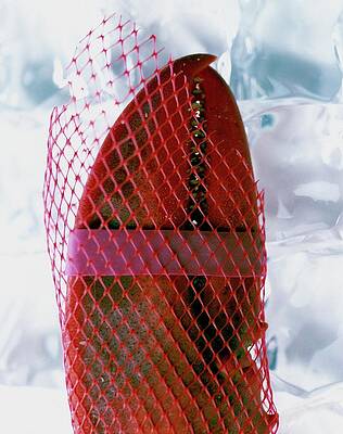 Fish Still Life Photograph - A Lobster Claw In Red Packaging by Romulo Yanes