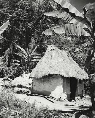 Rural Scene Photograph - A Local Hut In Haiti by Cecil Beaton