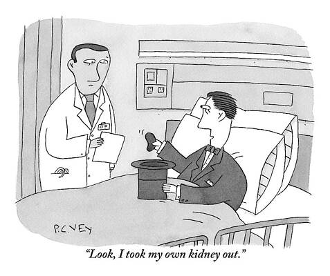 Patient Shows Doctor His Own Kidney Drawing