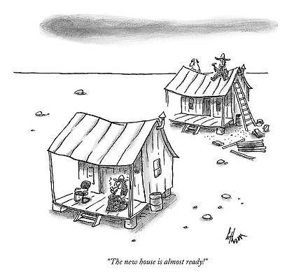 House Drawing - A Man On Top Of A Shack With A Ladder by Frank Cotham