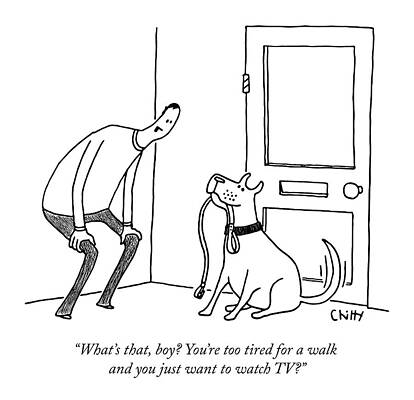 Dog's Unusual TV Preference Drawing