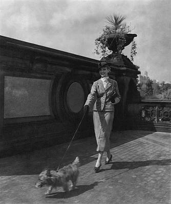 Woman Walking Dog on City Terrace Photograph
