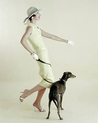 Stylish Woman with a Dog Photograph